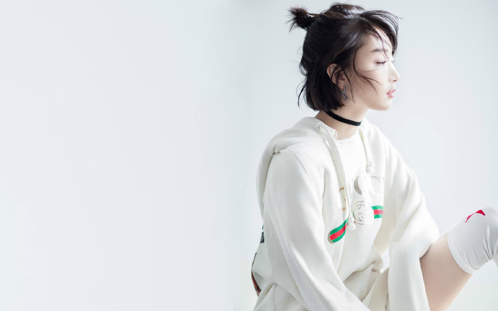 大型草原搏克比赛,蒙古族传统体育盛事,蒙古博克的比赛规则