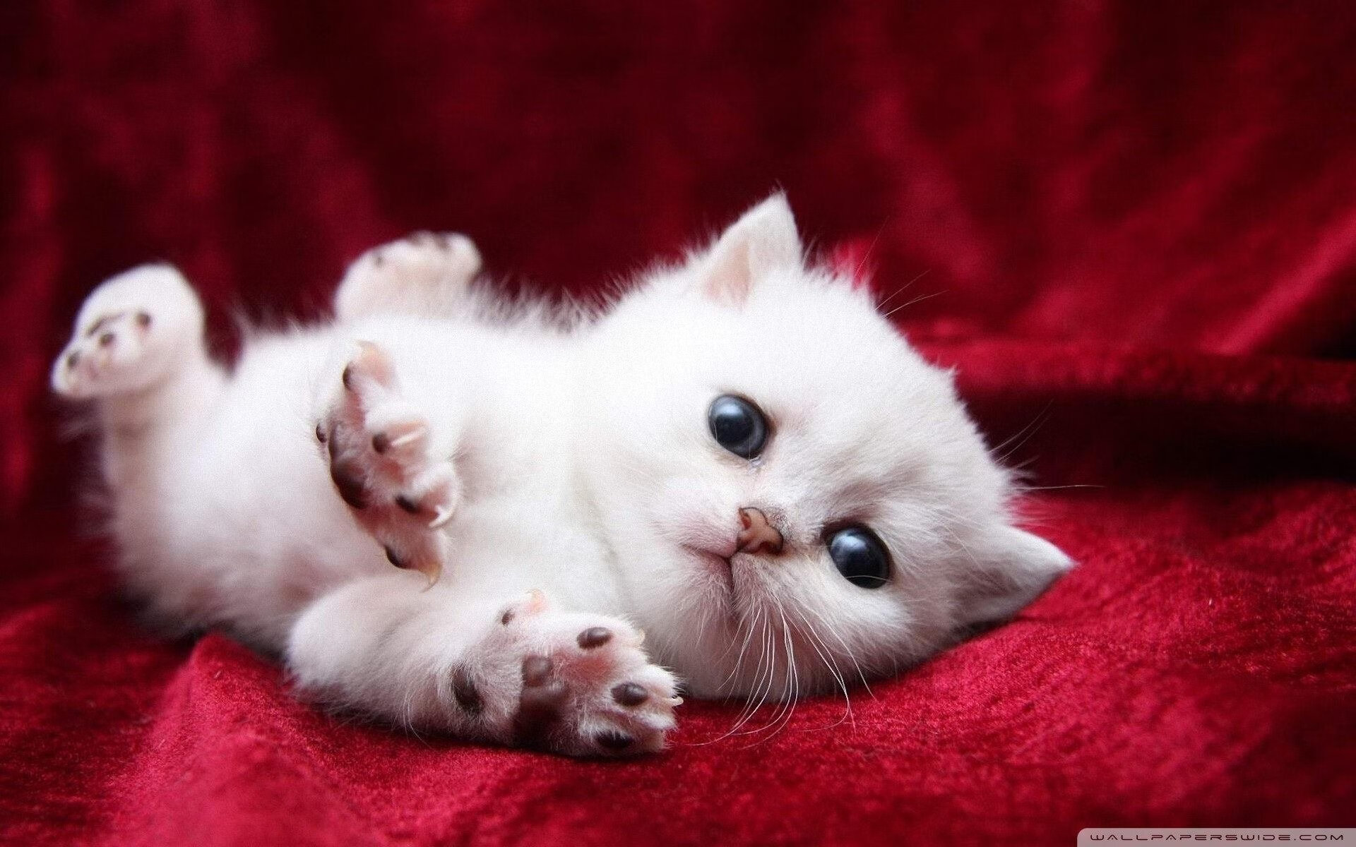 开云体育开云-中国足球国际战略合作框架协议签署，中国足球规划最新消息